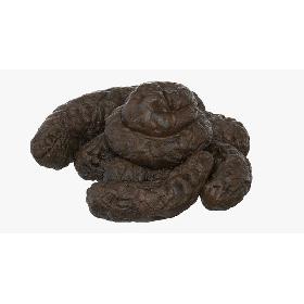 Turd Crap 3D model